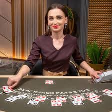 s711b Standard Dice 24/7